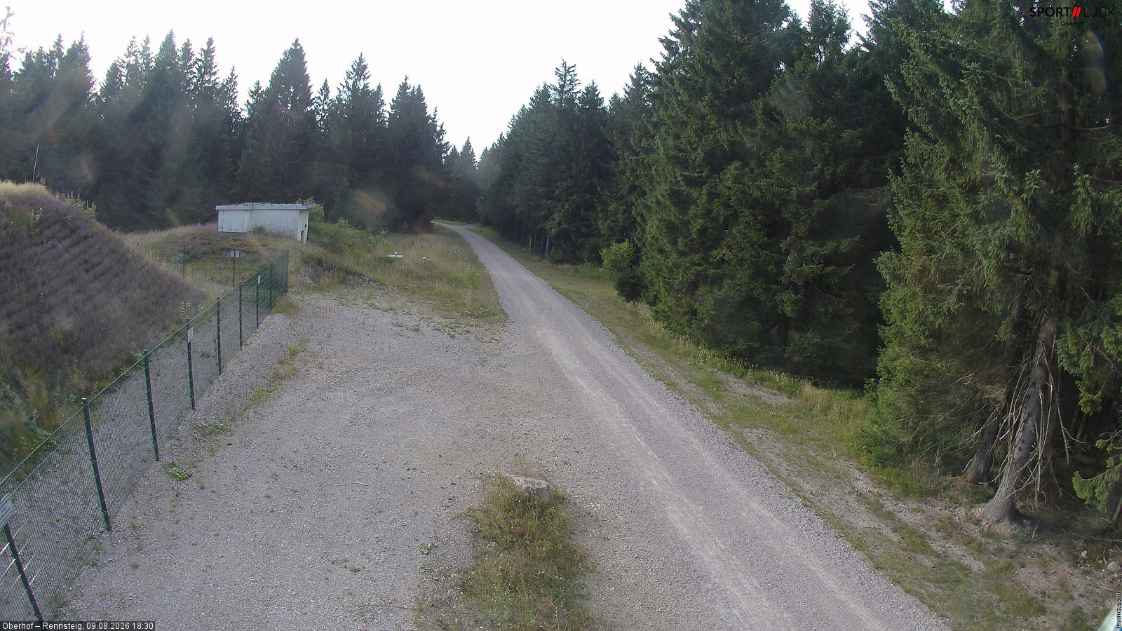 Archiv Foto Webcam Stein 16 am Wanderweg Rennsteig