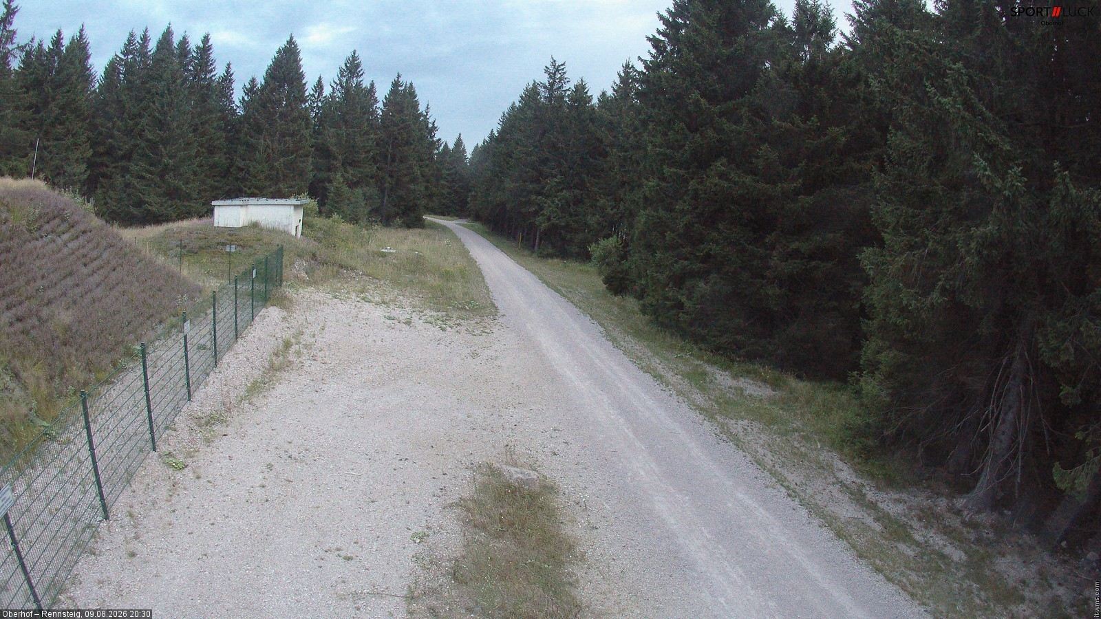 Archiv Foto Webcam Stein 16 am Wanderweg Rennsteig