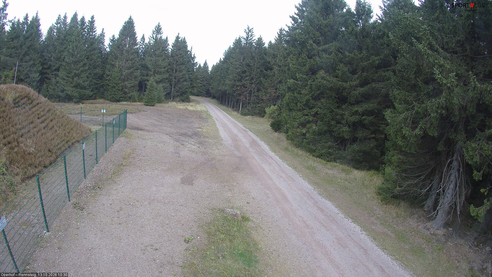 Archiv Foto Webcam Stein 16 am Wanderweg Rennsteig