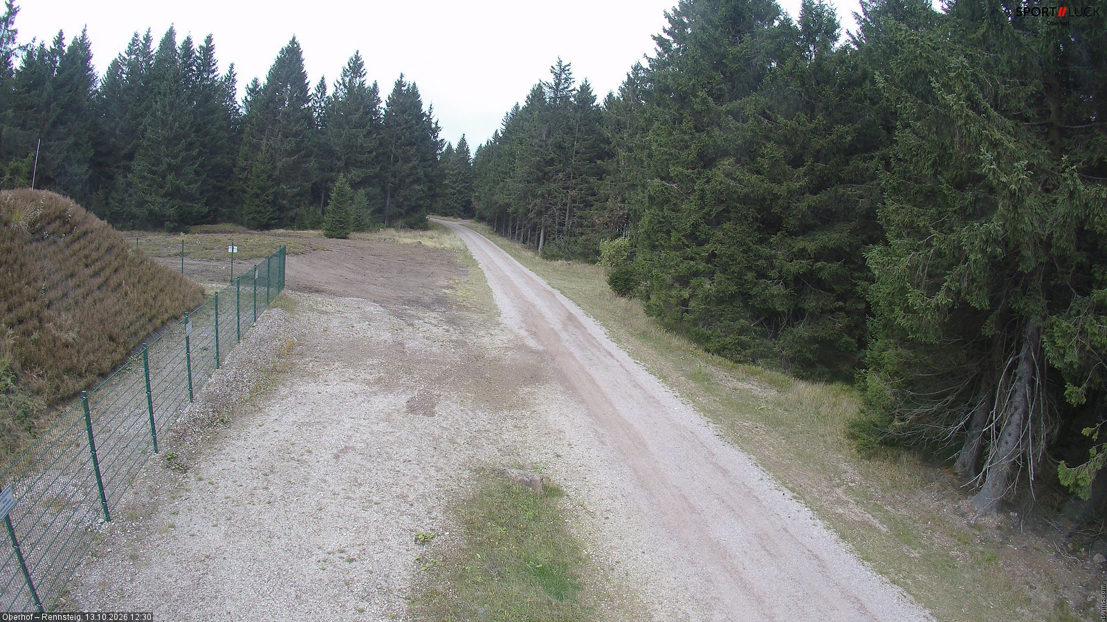 Archiv Foto Webcam Stein 16 am Wanderweg Rennsteig