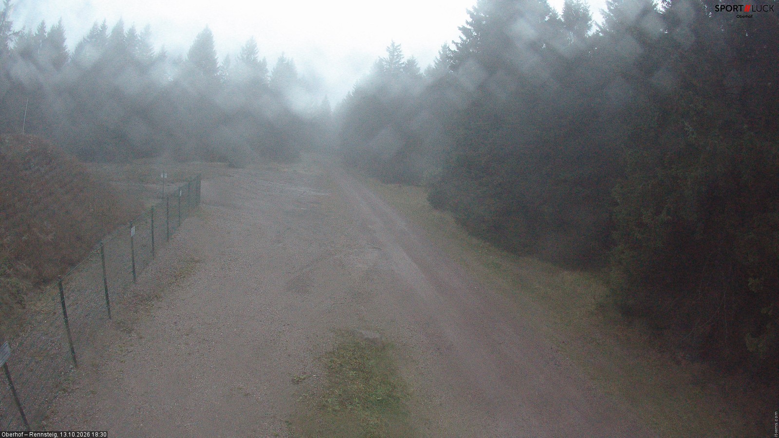 Archiv Foto Webcam Stein 16 am Wanderweg Rennsteig