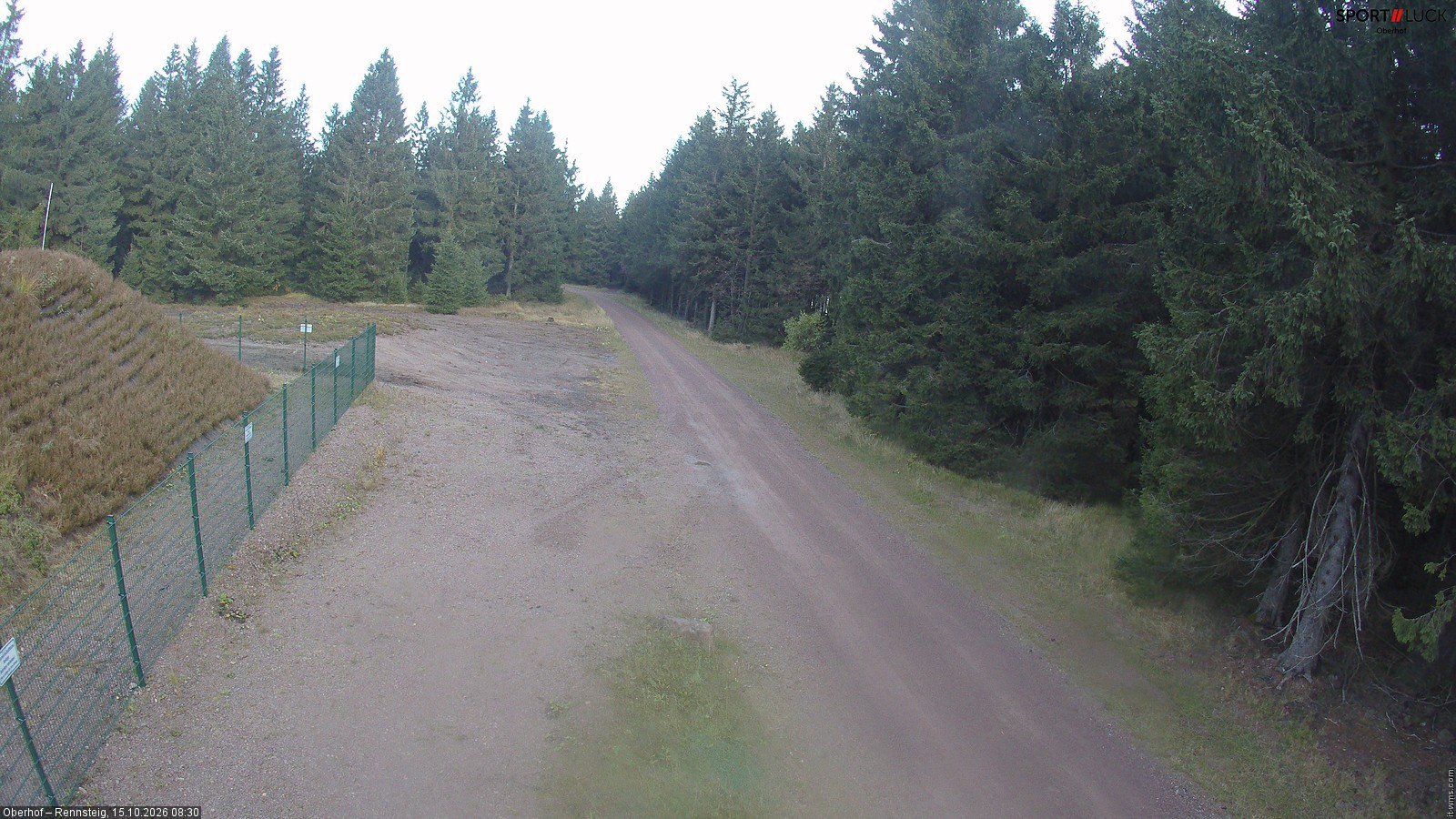 Archiv Foto Webcam Stein 16 am Wanderweg Rennsteig