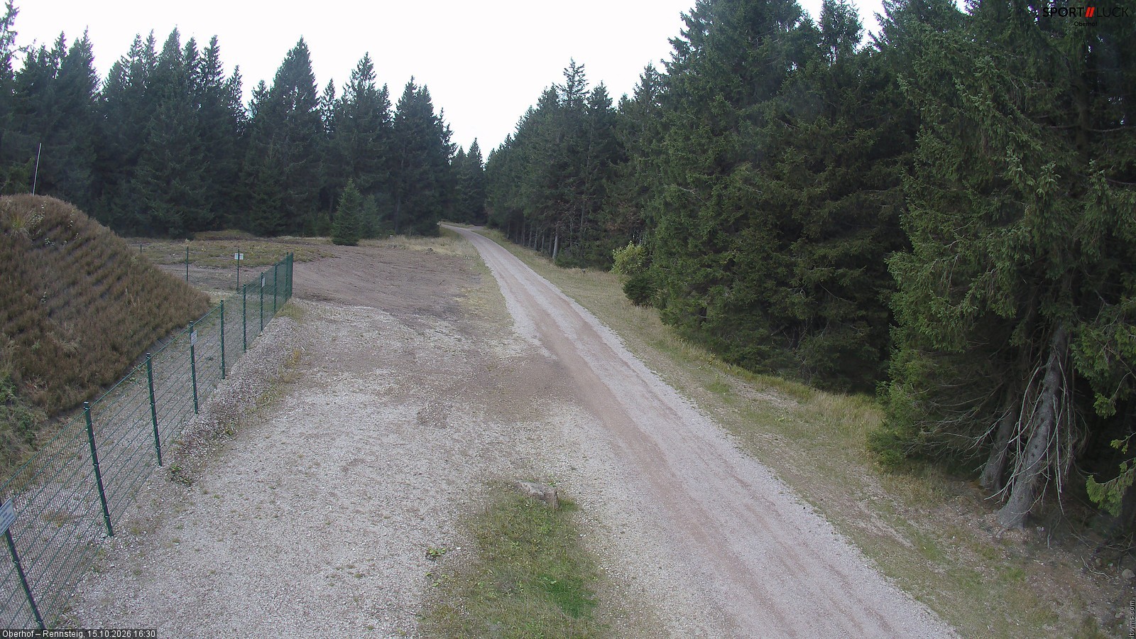 Archiv Foto Webcam Stein 16 am Wanderweg Rennsteig