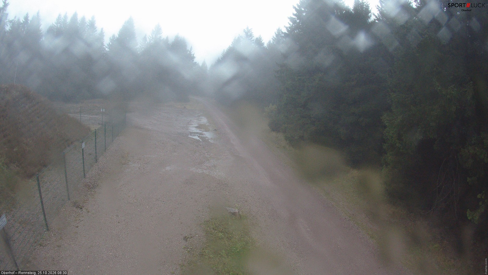 Archiv Foto Webcam Stein 16 am Wanderweg Rennsteig