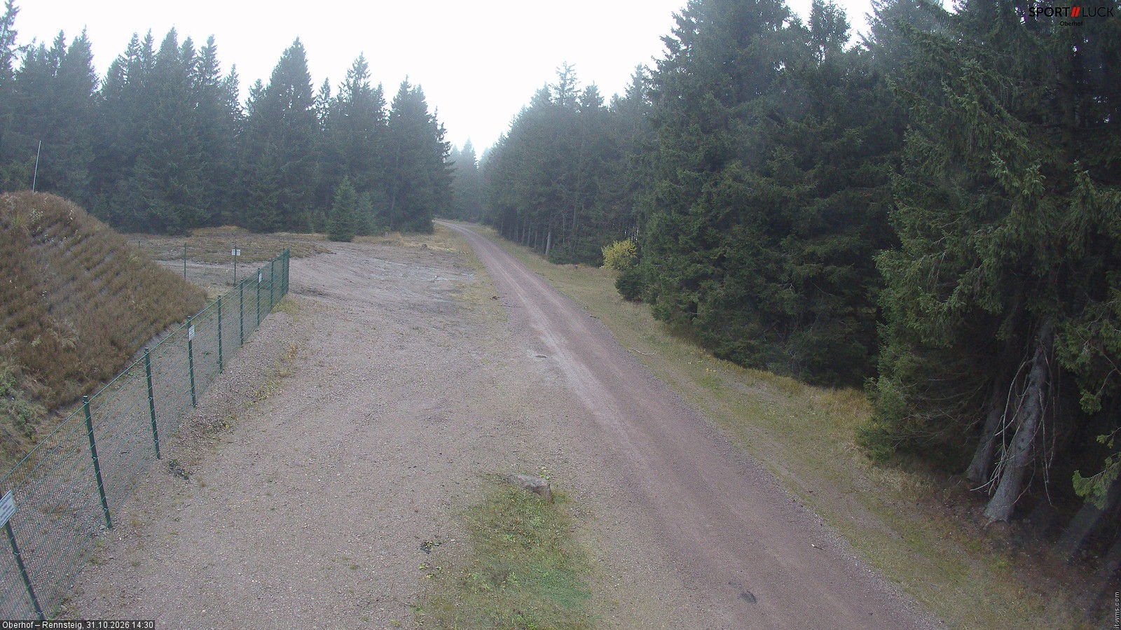 Archiv Foto Webcam Stein 16 am Wanderweg Rennsteig