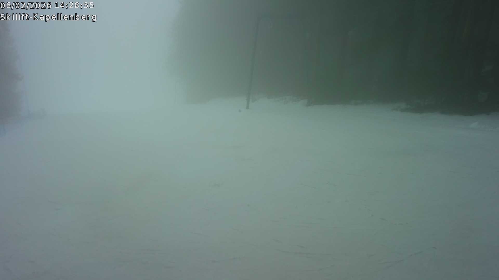Archiv Foto Webcam Bayerischer Wald: Kapellenberg