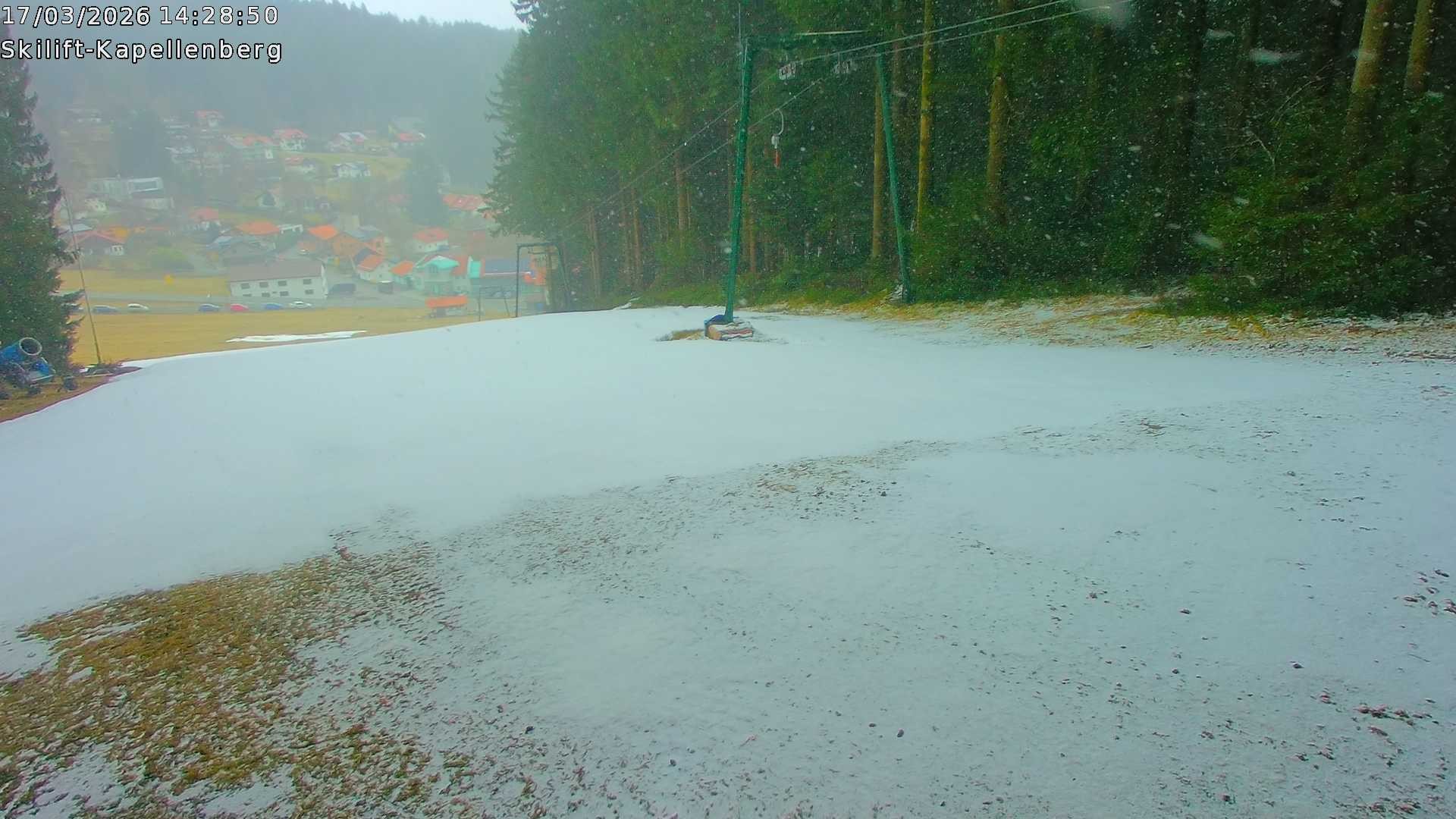 Archiv Foto Webcam Bayerischer Wald: Kapellenberg