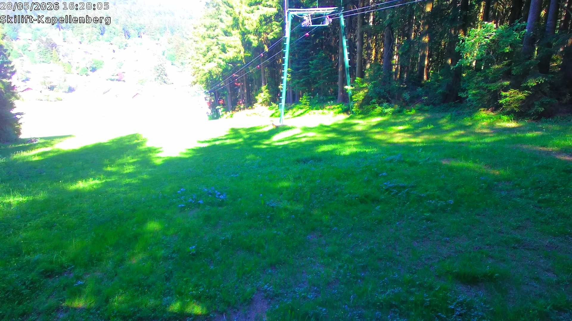 Archiv Foto Webcam Bayerischer Wald: Kapellenberg