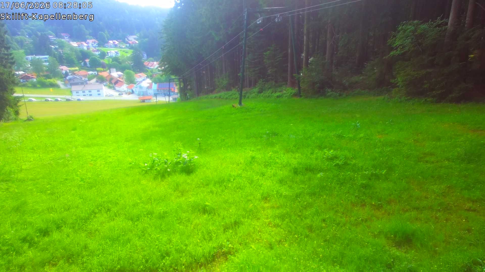 Archiv Foto Webcam Bayerischer Wald: Kapellenberg