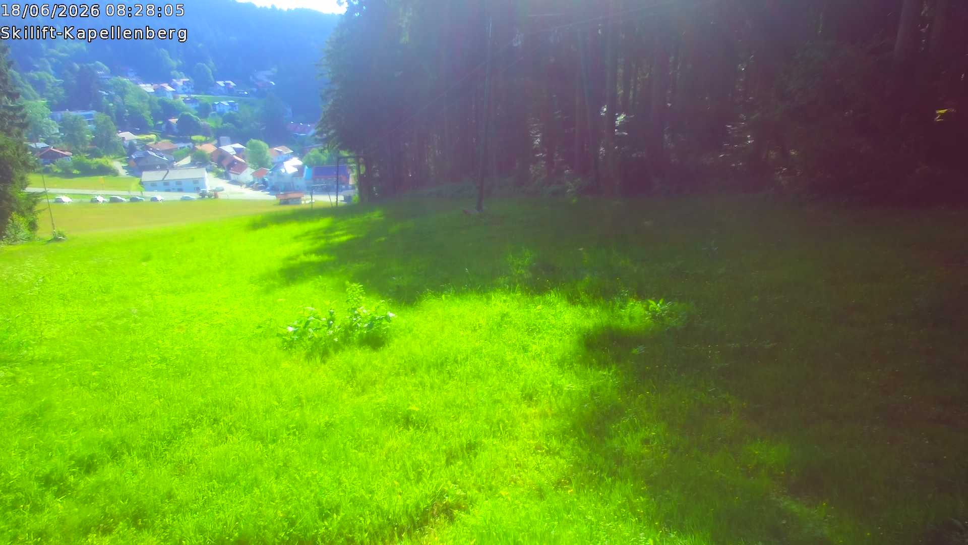 Archiv Foto Webcam Bayerischer Wald: Kapellenberg