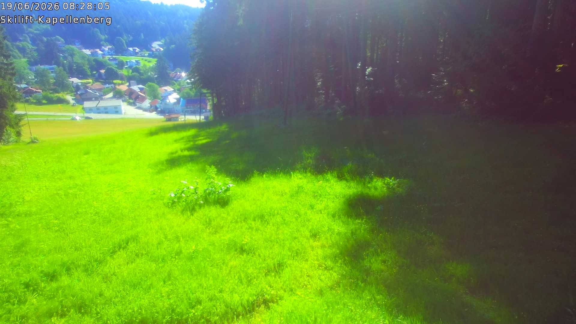 Archiv Foto Webcam Bayerischer Wald: Kapellenberg