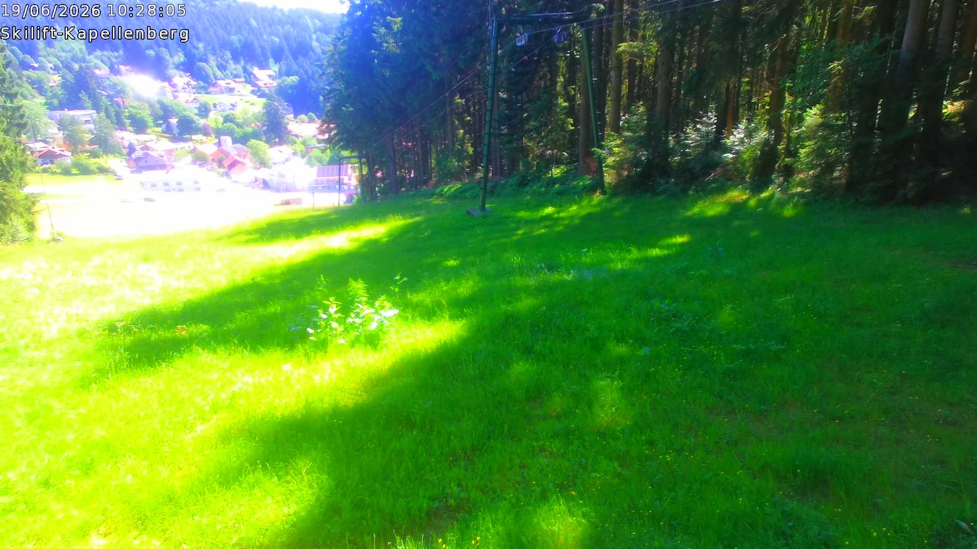 Archiv Foto Webcam Bayerischer Wald: Kapellenberg