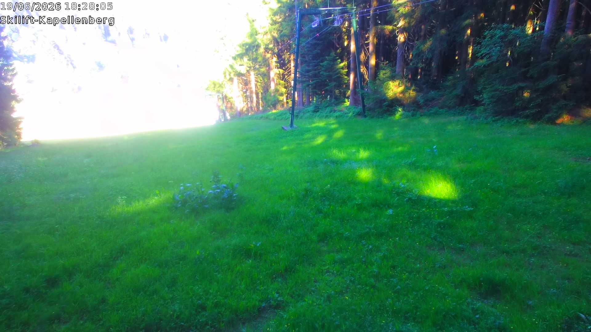 Archiv Foto Webcam Bayerischer Wald: Kapellenberg