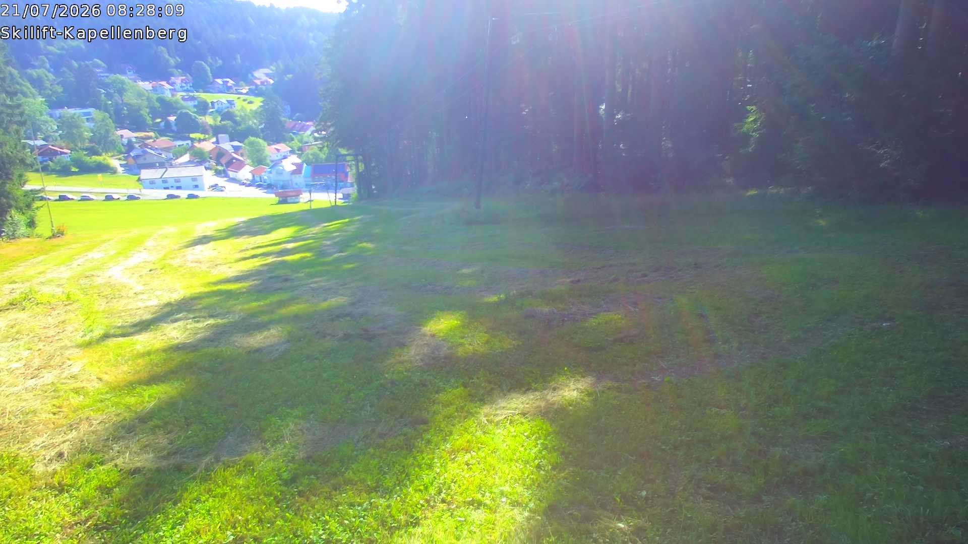 Archiv Foto Webcam Bayerischer Wald: Kapellenberg