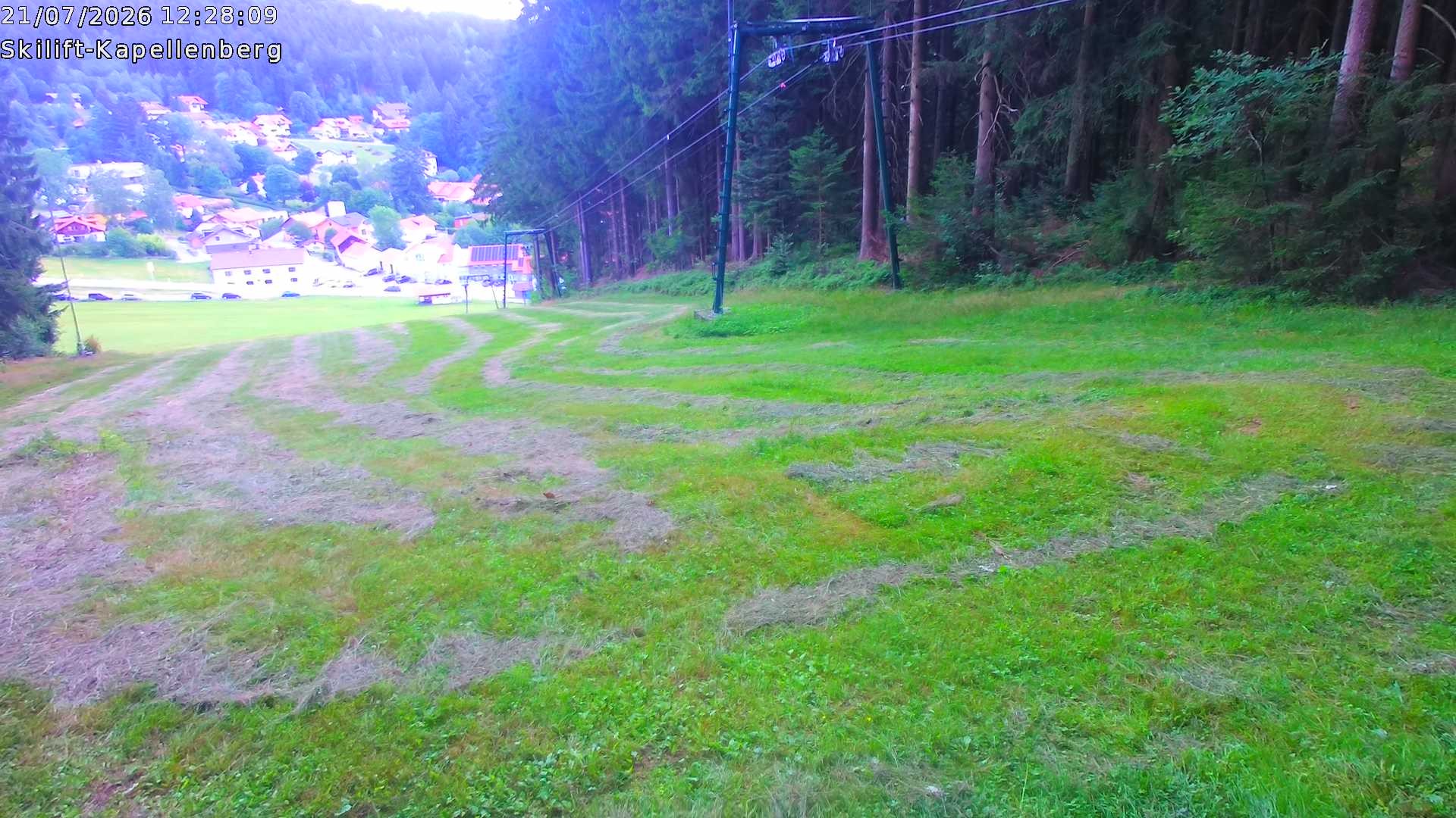 Archiv Foto Webcam Bayerischer Wald: Kapellenberg
