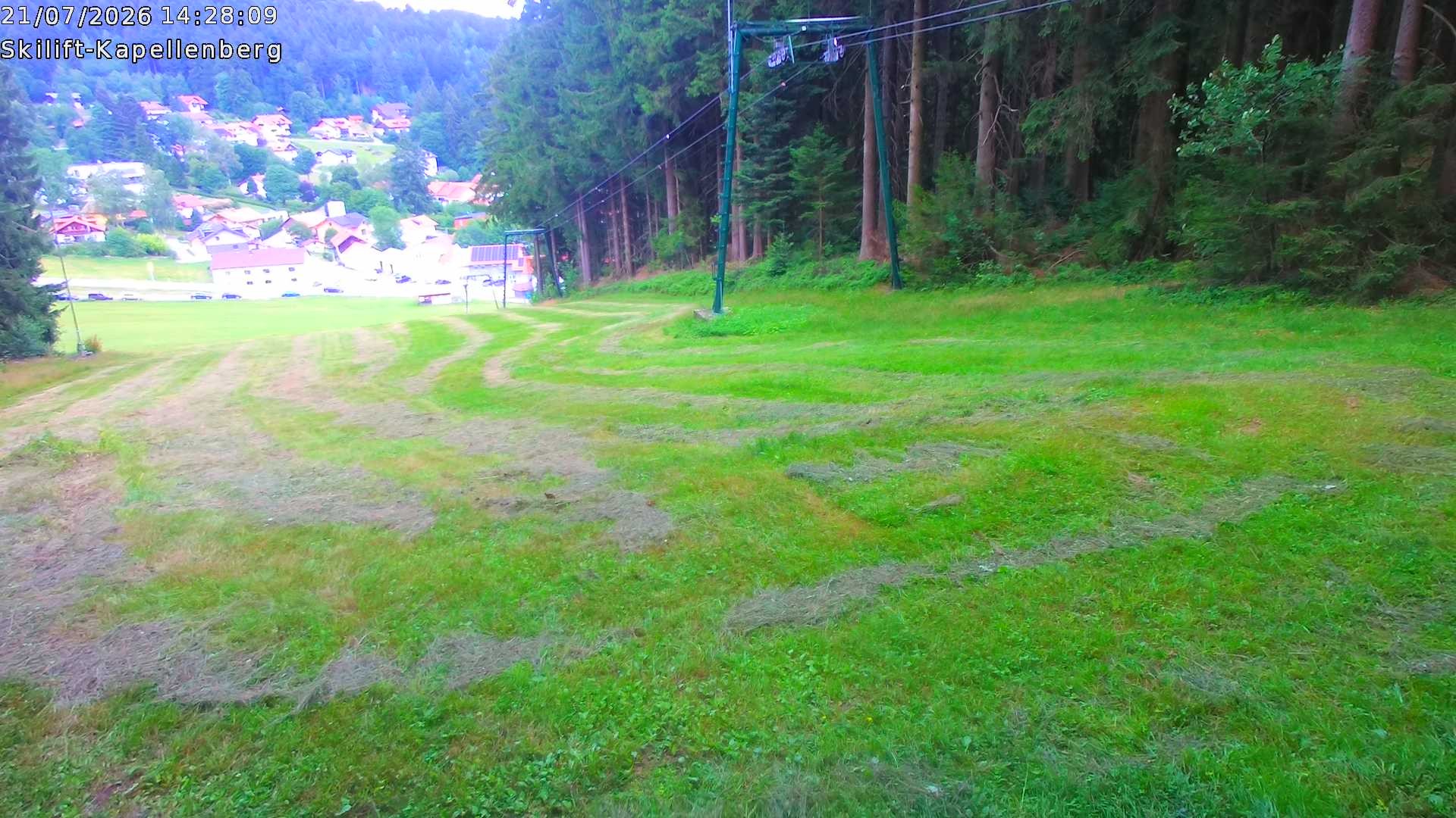 Archiv Foto Webcam Bayerischer Wald: Kapellenberg