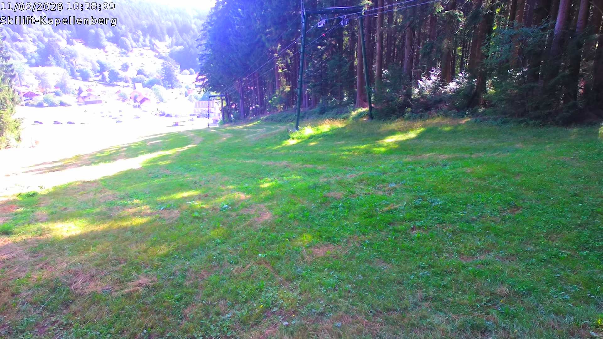 Archiv Foto Webcam Bayerischer Wald: Kapellenberg