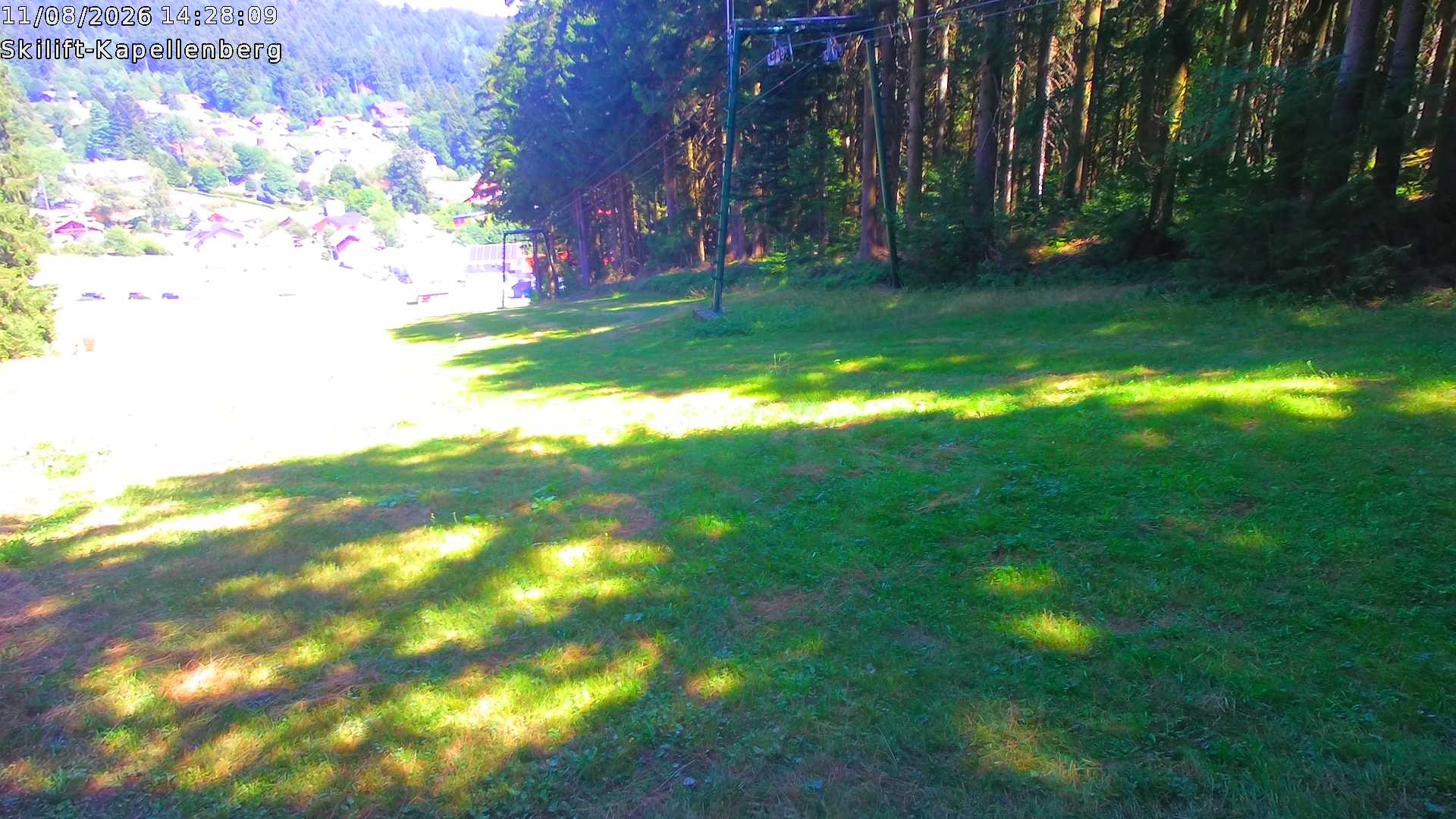 Archiv Foto Webcam Bayerischer Wald: Kapellenberg