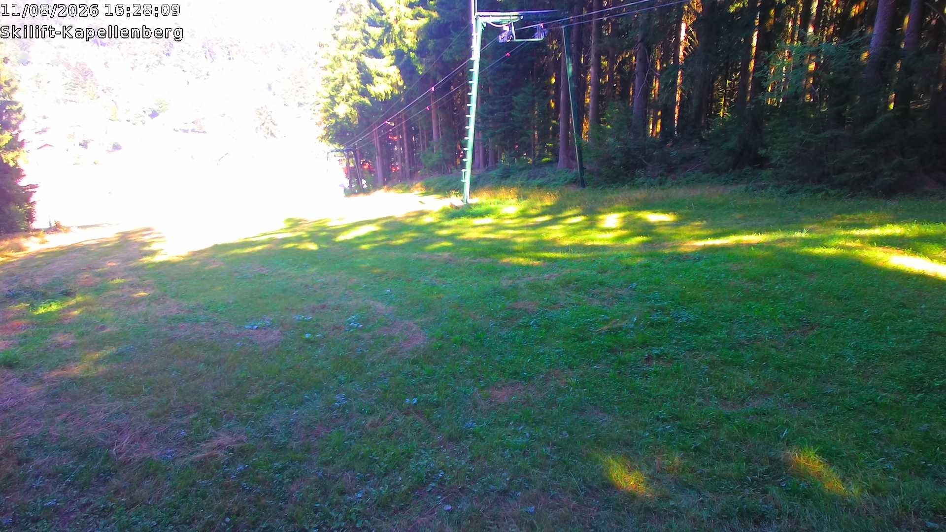 Archiv Foto Webcam Bayerischer Wald: Kapellenberg