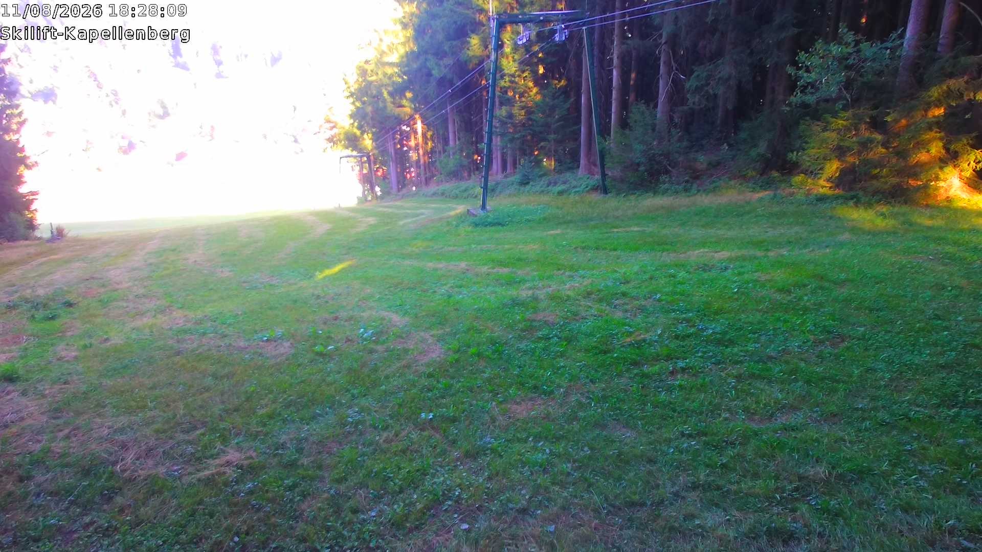 Archiv Foto Webcam Bayerischer Wald: Kapellenberg