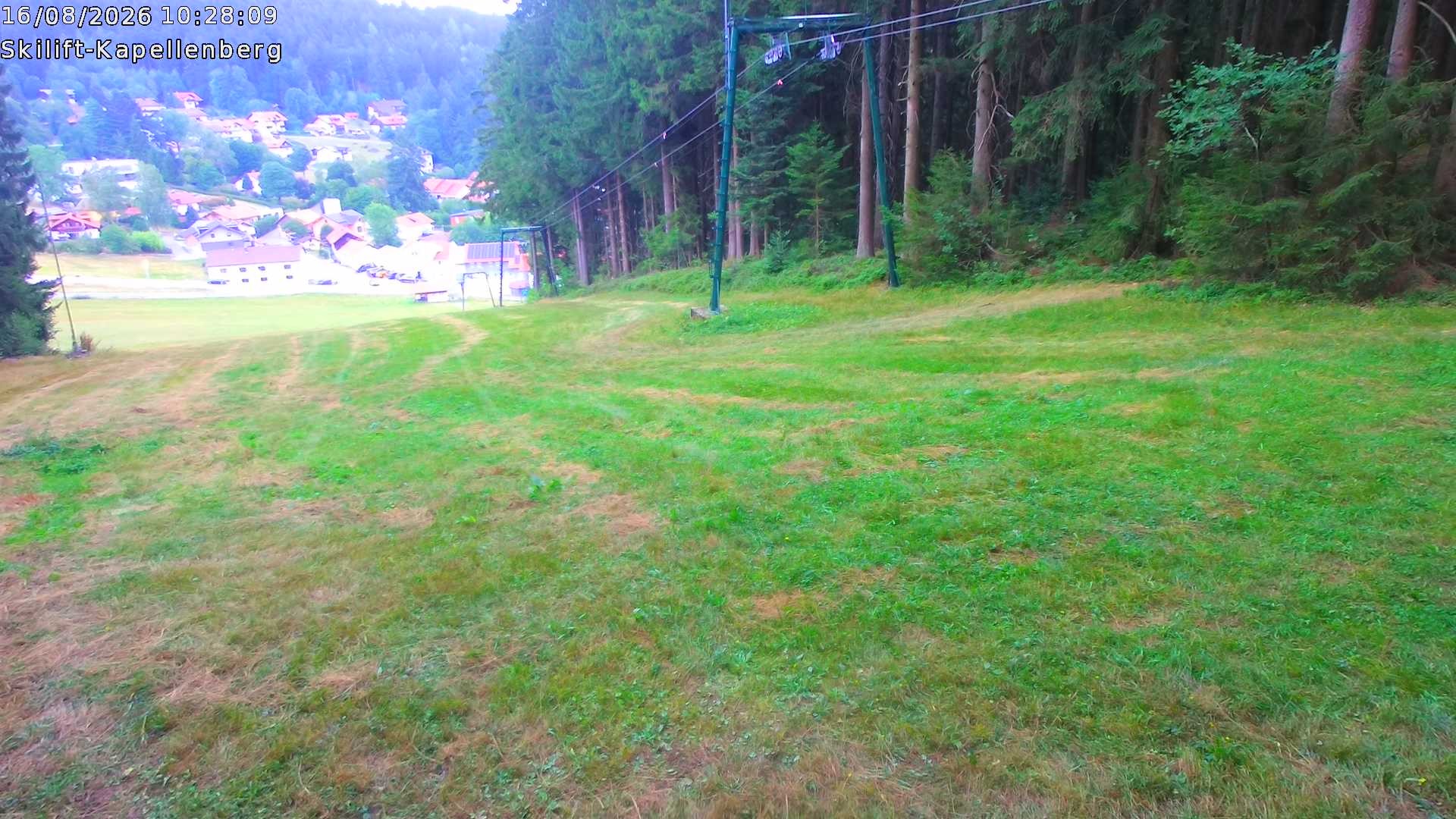 Archiv Foto Webcam Bayerischer Wald: Kapellenberg