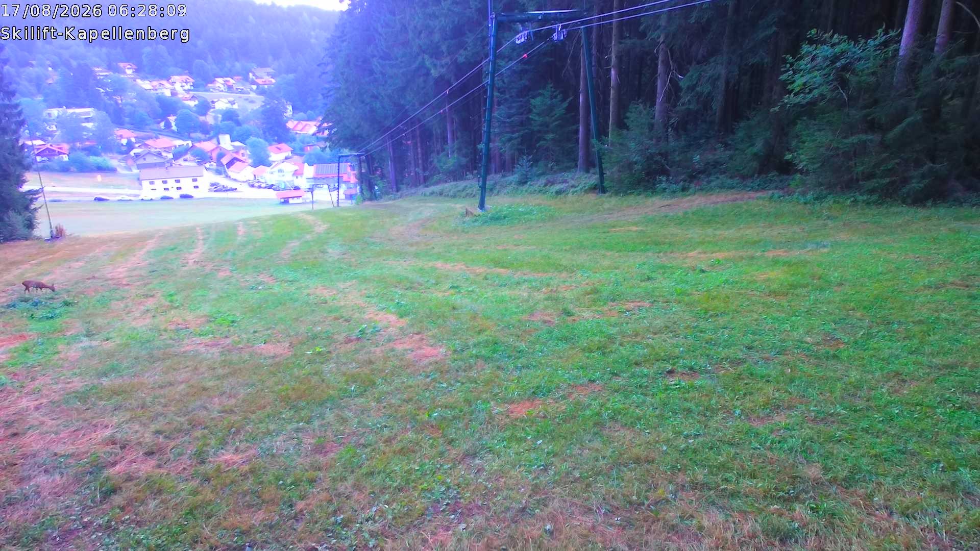 Archiv Foto Webcam Bayerischer Wald: Kapellenberg