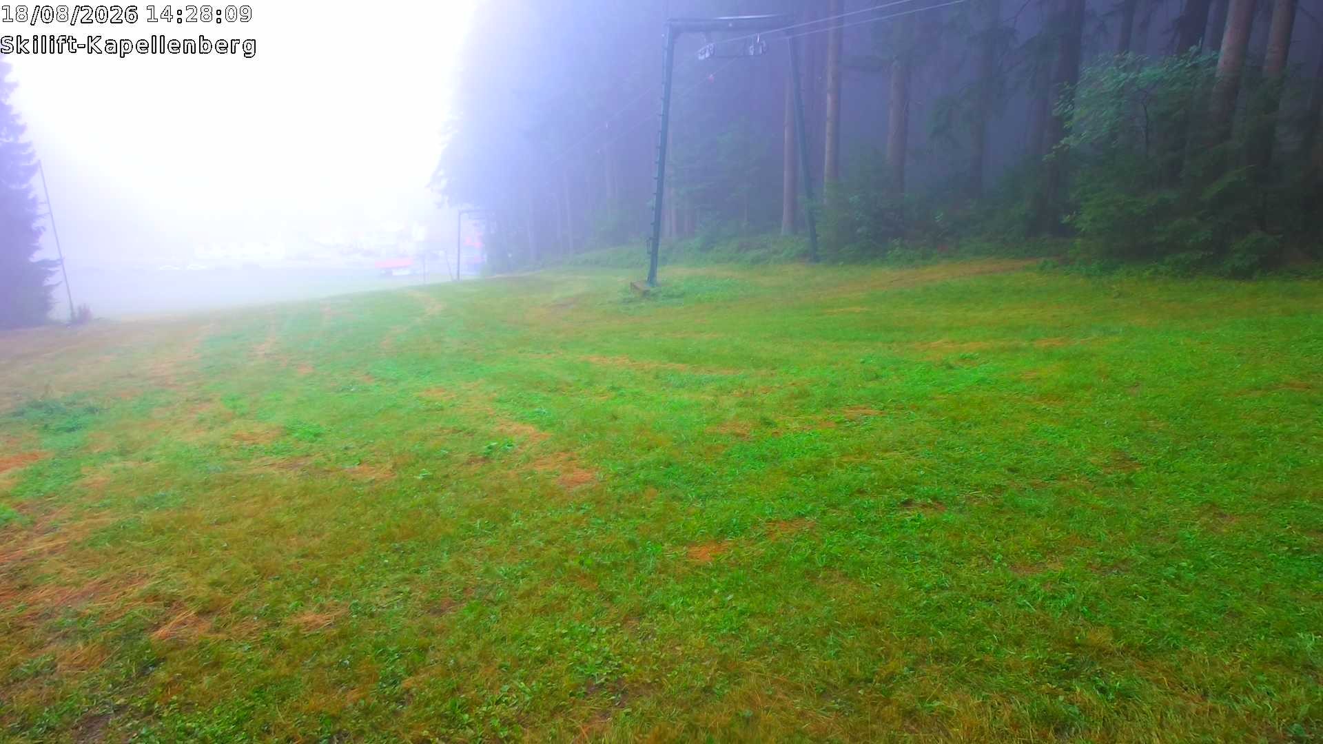 Archiv Foto Webcam Bayerischer Wald: Kapellenberg