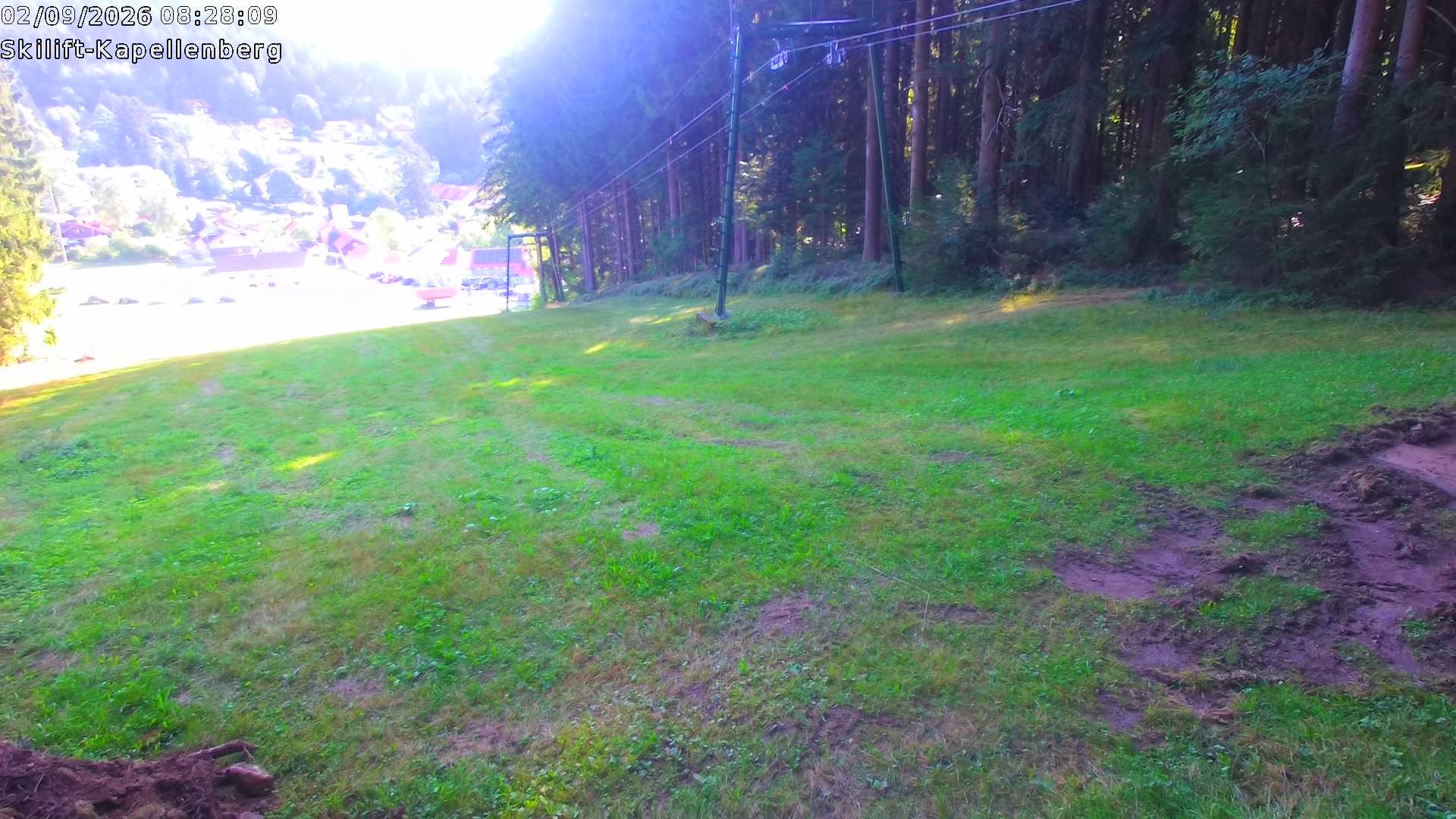 Archiv Foto Webcam Bayerischer Wald: Kapellenberg