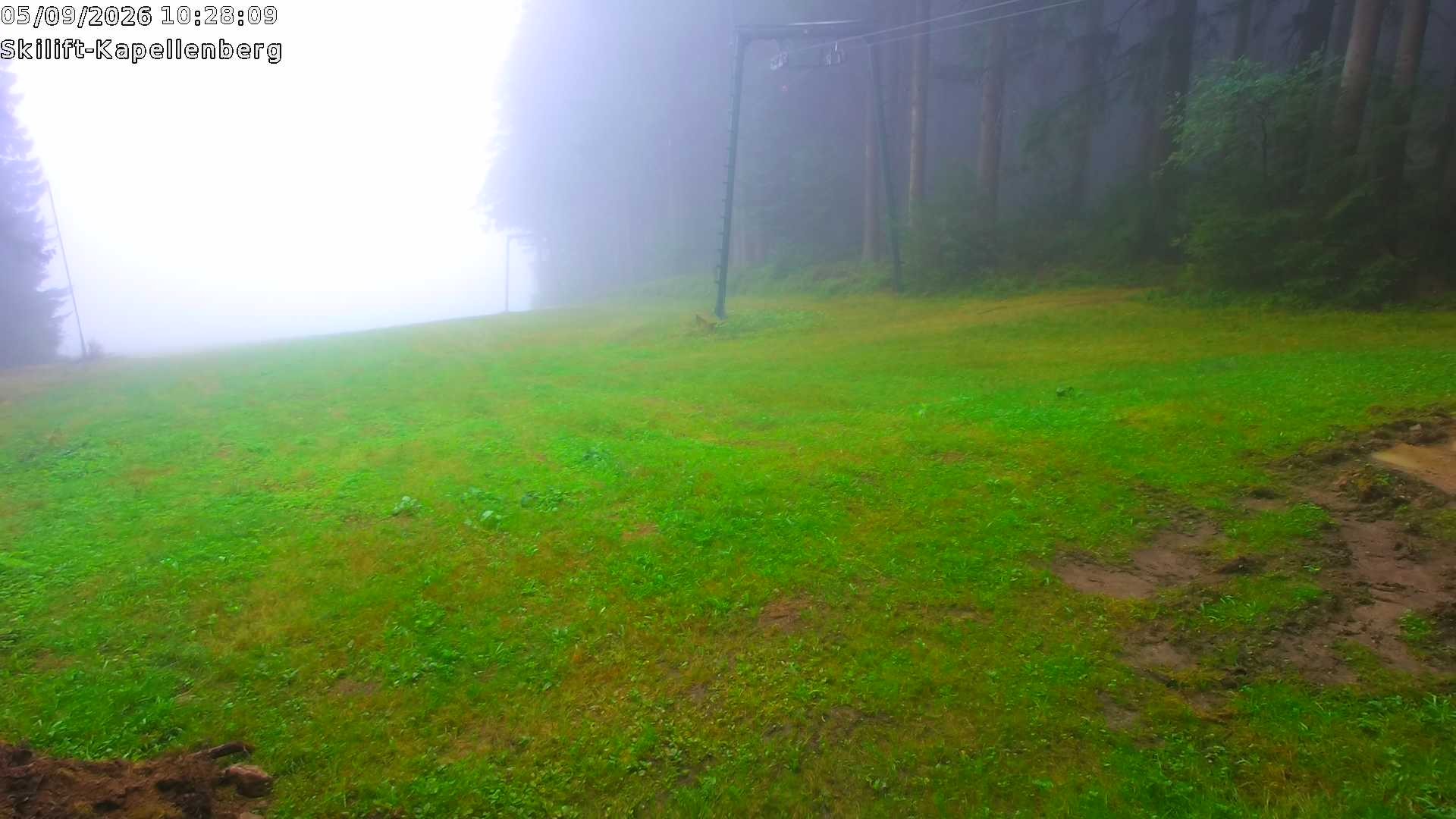 Archiv Foto Webcam Bayerischer Wald: Kapellenberg