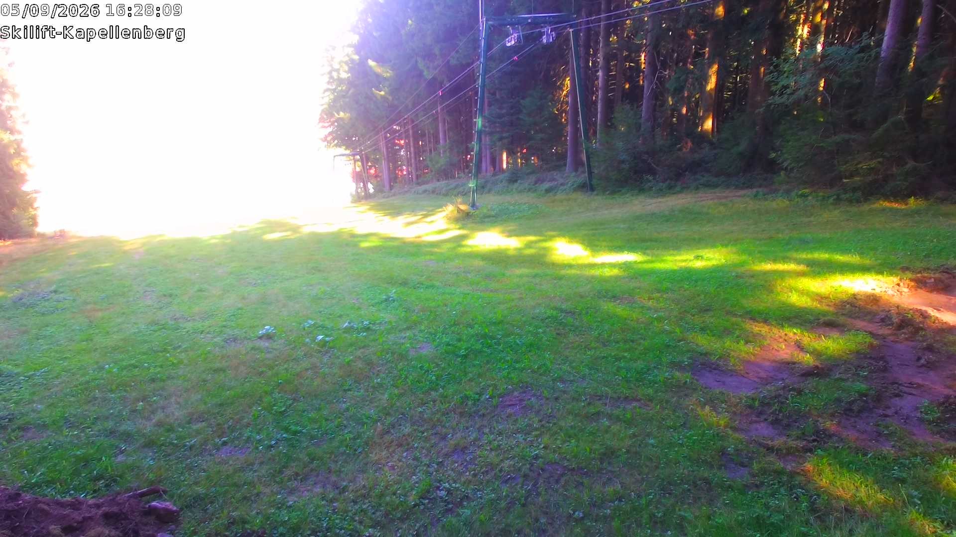 Archiv Foto Webcam Bayerischer Wald: Kapellenberg