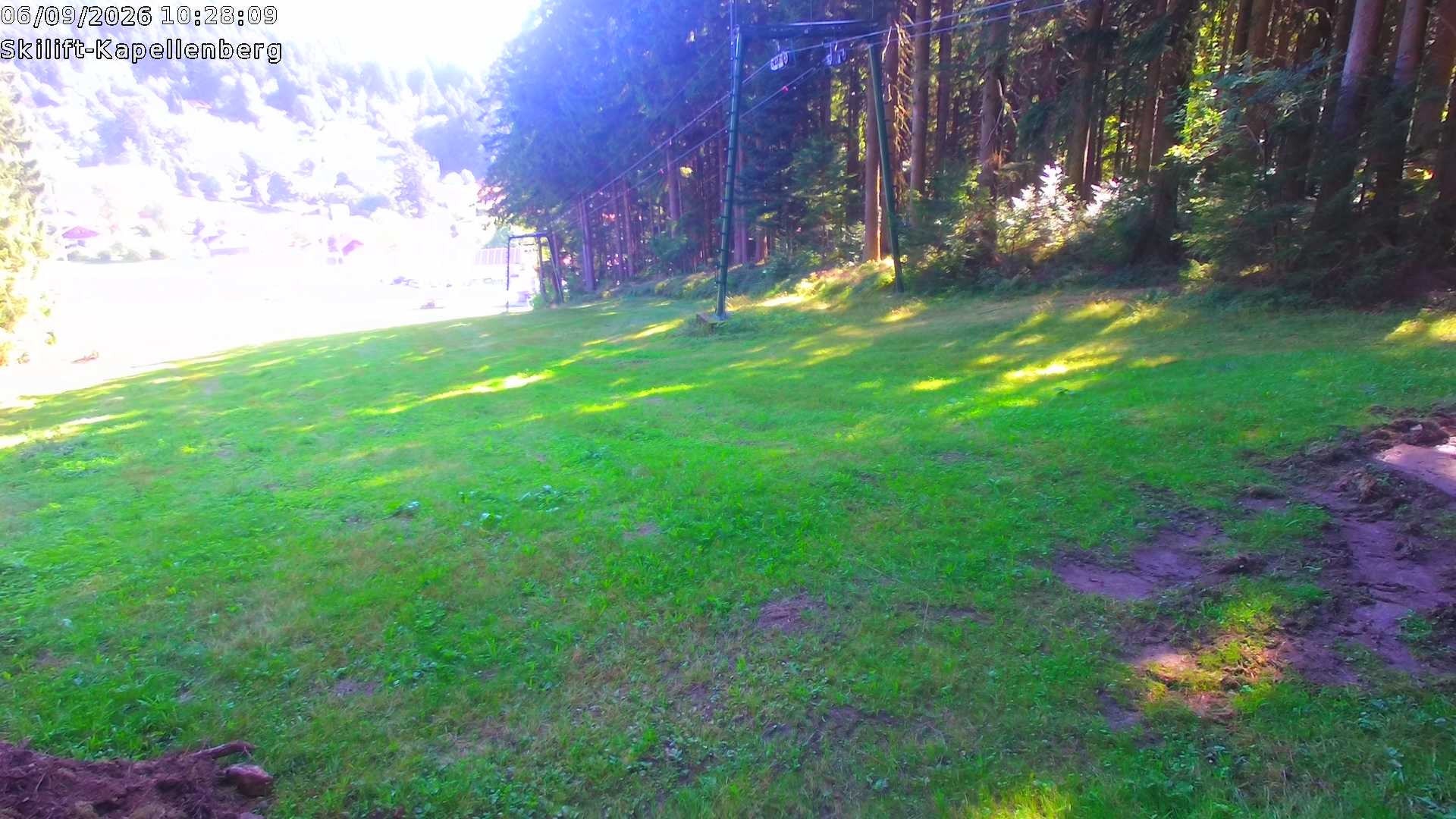 Archiv Foto Webcam Bayerischer Wald: Kapellenberg