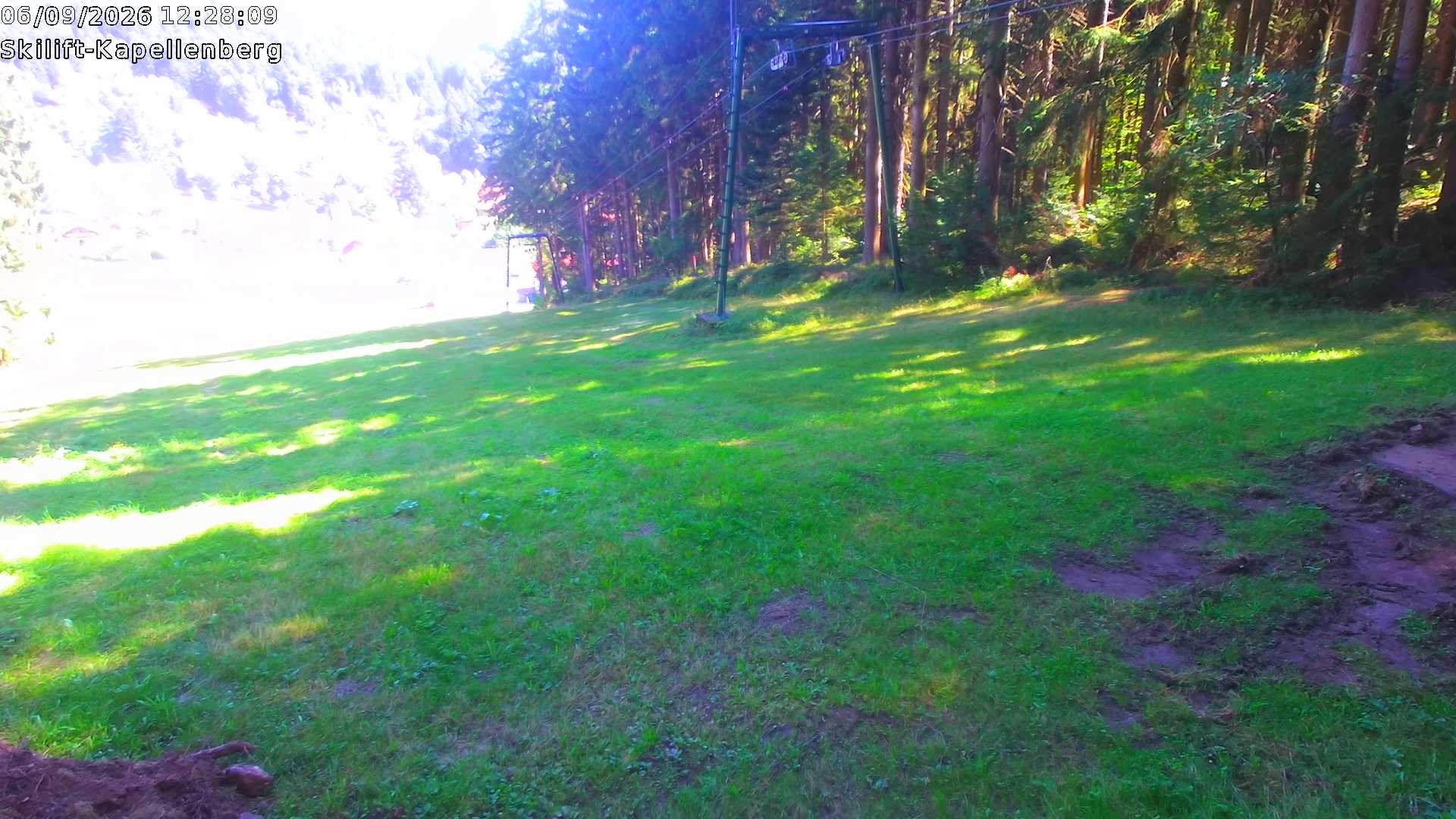 Archiv Foto Webcam Bayerischer Wald: Kapellenberg