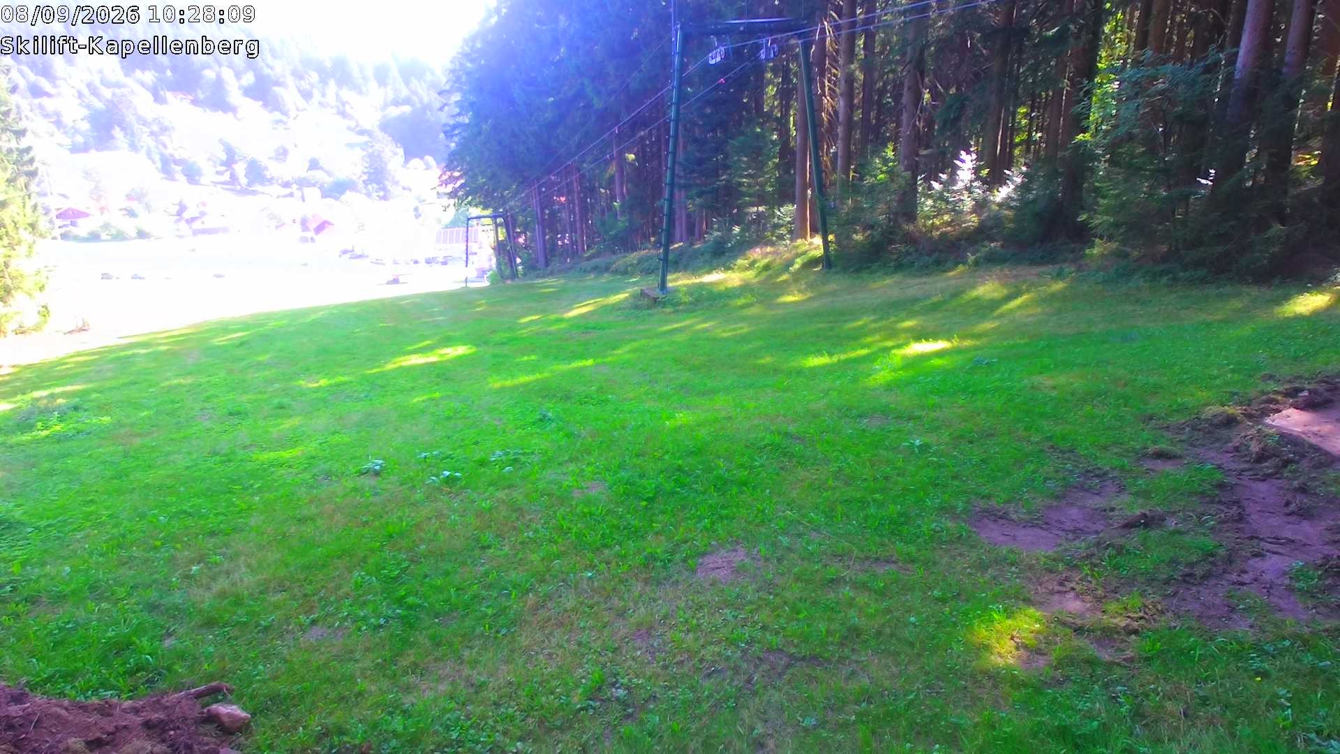 Archiv Foto Webcam Bayerischer Wald: Kapellenberg