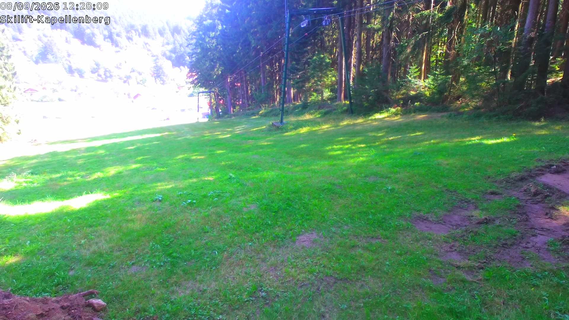 Archiv Foto Webcam Bayerischer Wald: Kapellenberg