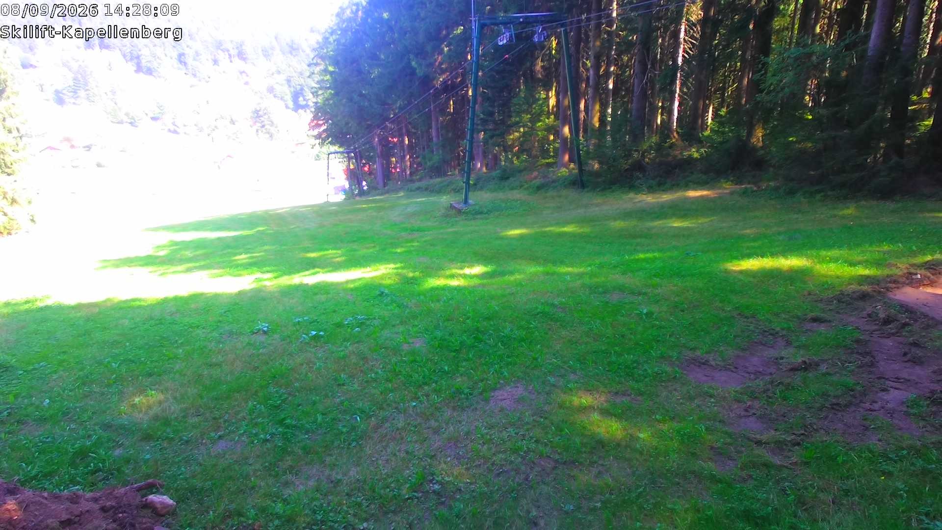 Archiv Foto Webcam Bayerischer Wald: Kapellenberg