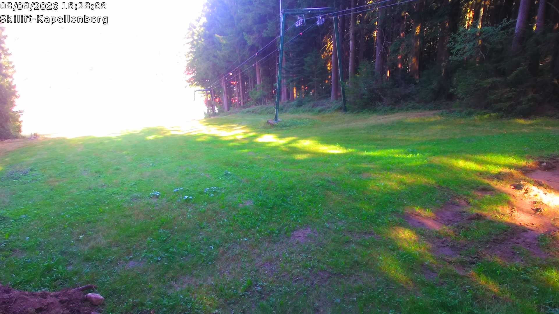 Archiv Foto Webcam Bayerischer Wald: Kapellenberg
