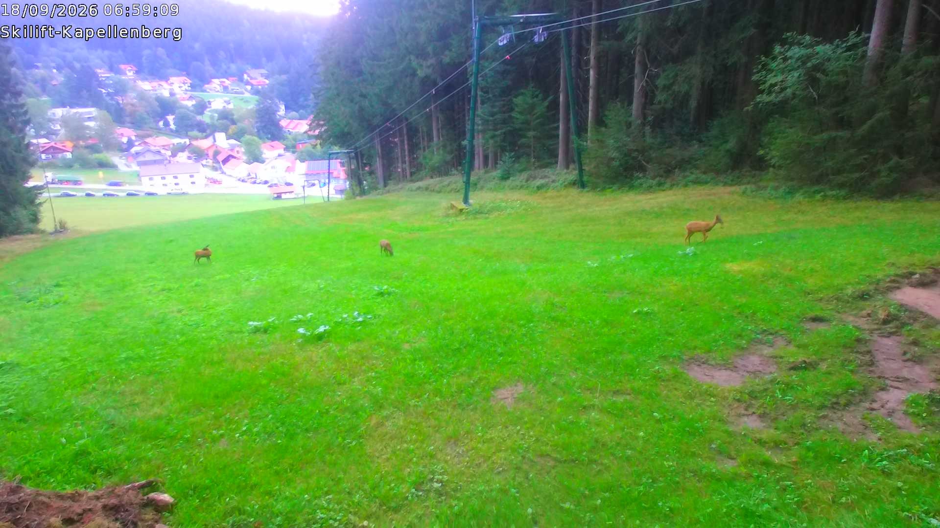 Archiv Foto Webcam Bayerischer Wald: Kapellenberg