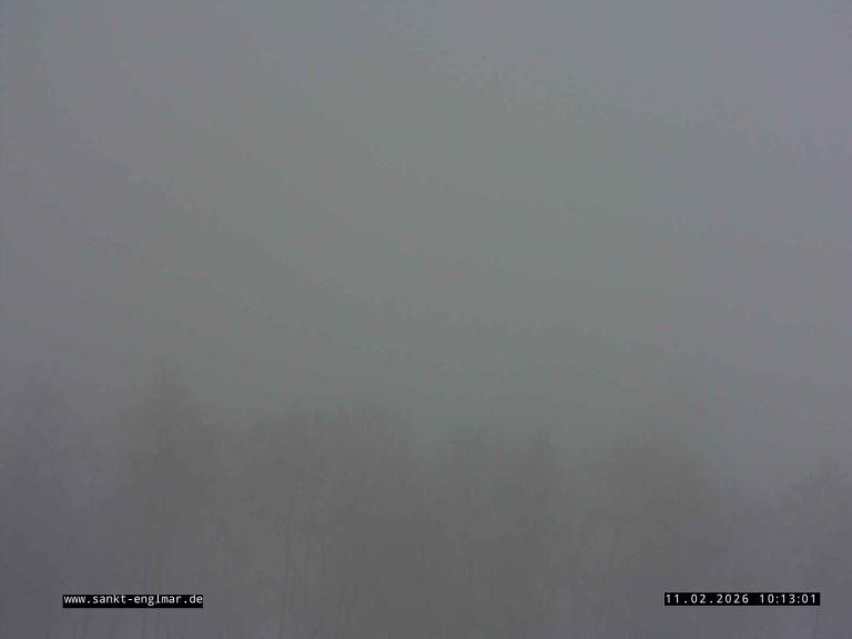 Archiv Foto Webcam Sankt Englmare Ortsblick