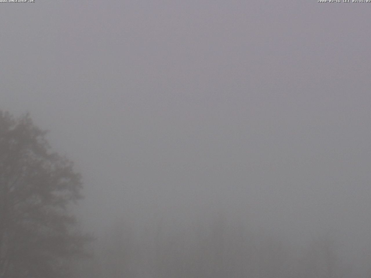 Archiv Foto Webcam Sport- und Wellnesshotel Angerhof