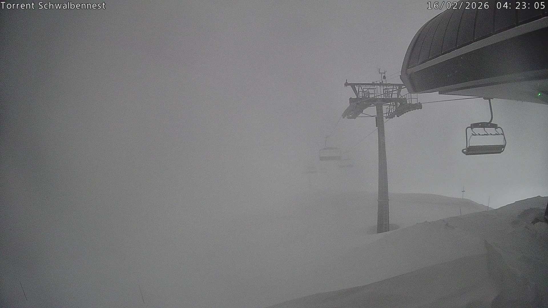 Archiv Foto Webcam Torrent-Schwalbennest