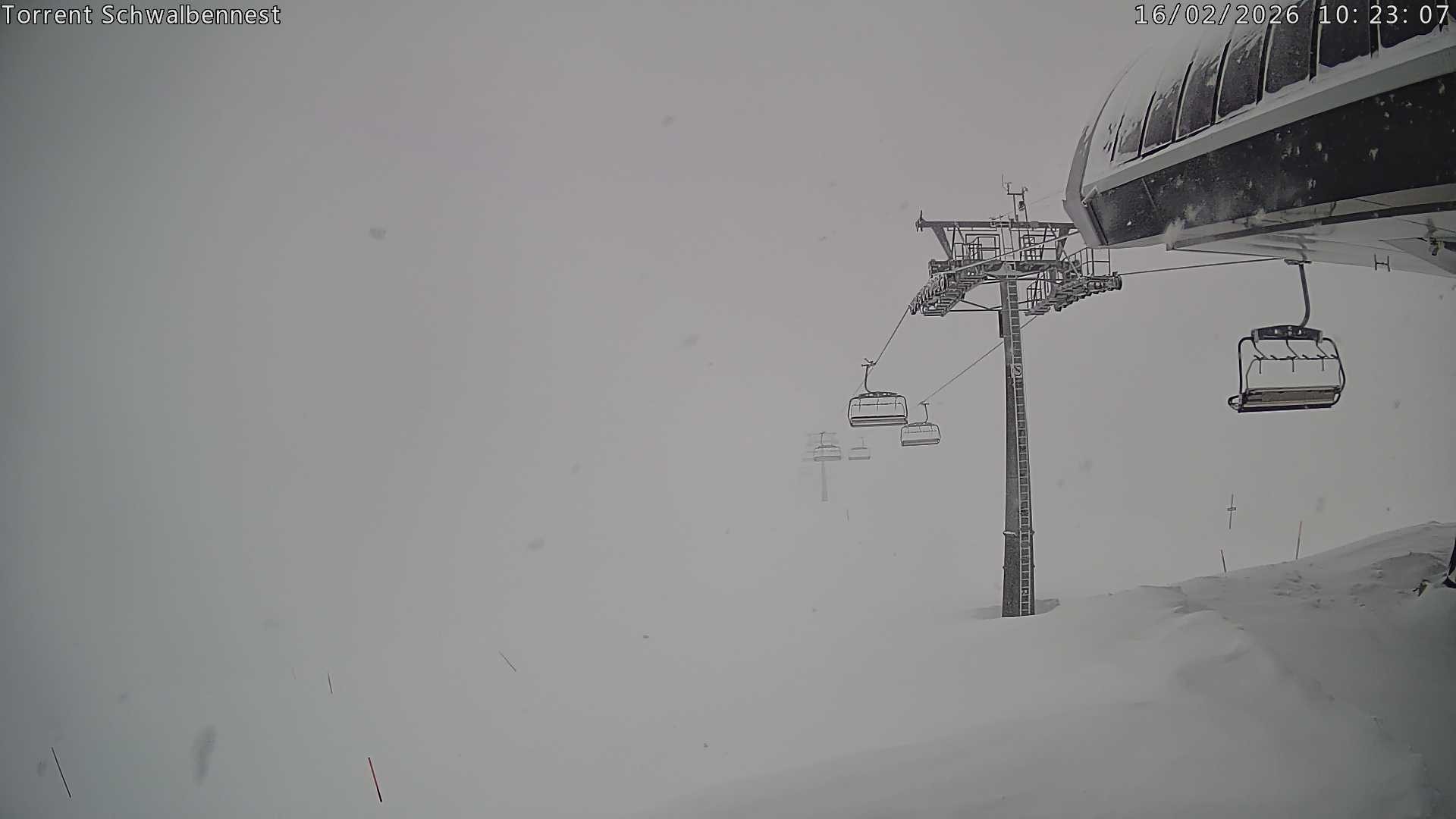 Archiv Foto Webcam Torrent-Schwalbennest