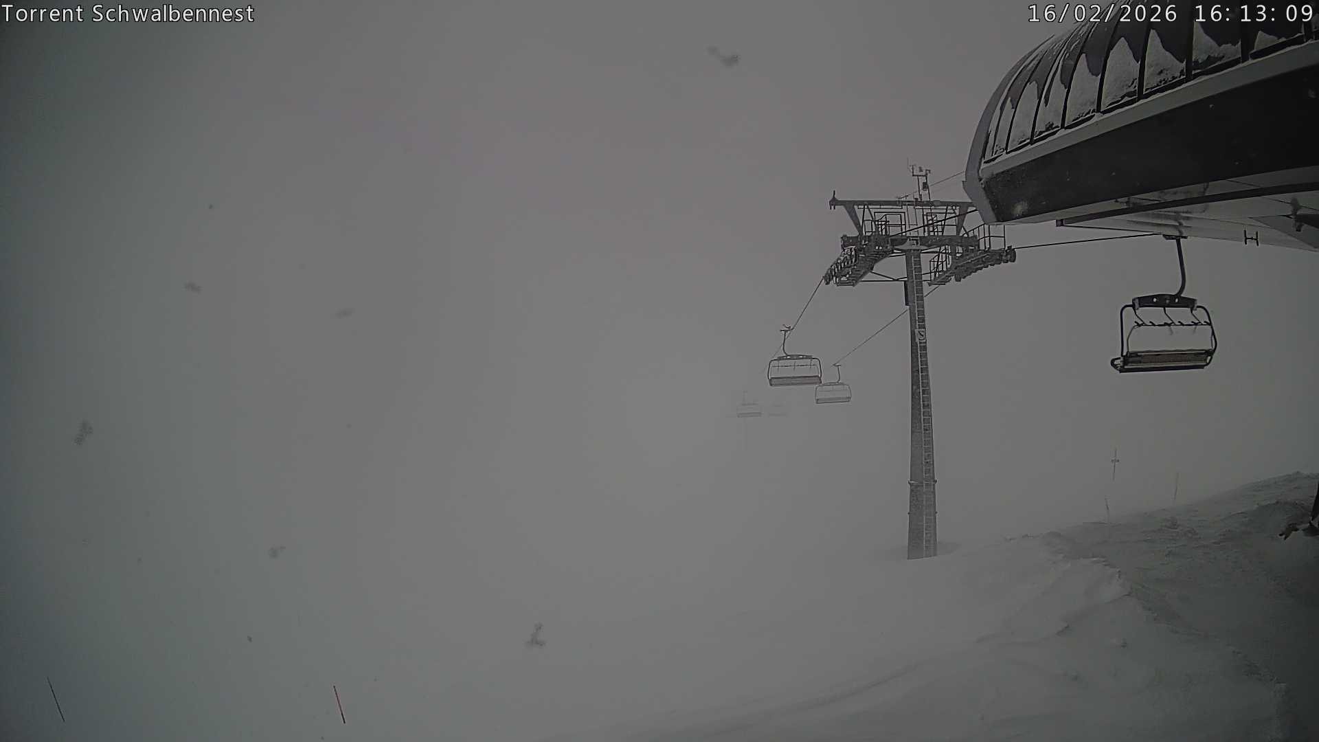 Archiv Foto Webcam Torrent-Schwalbennest