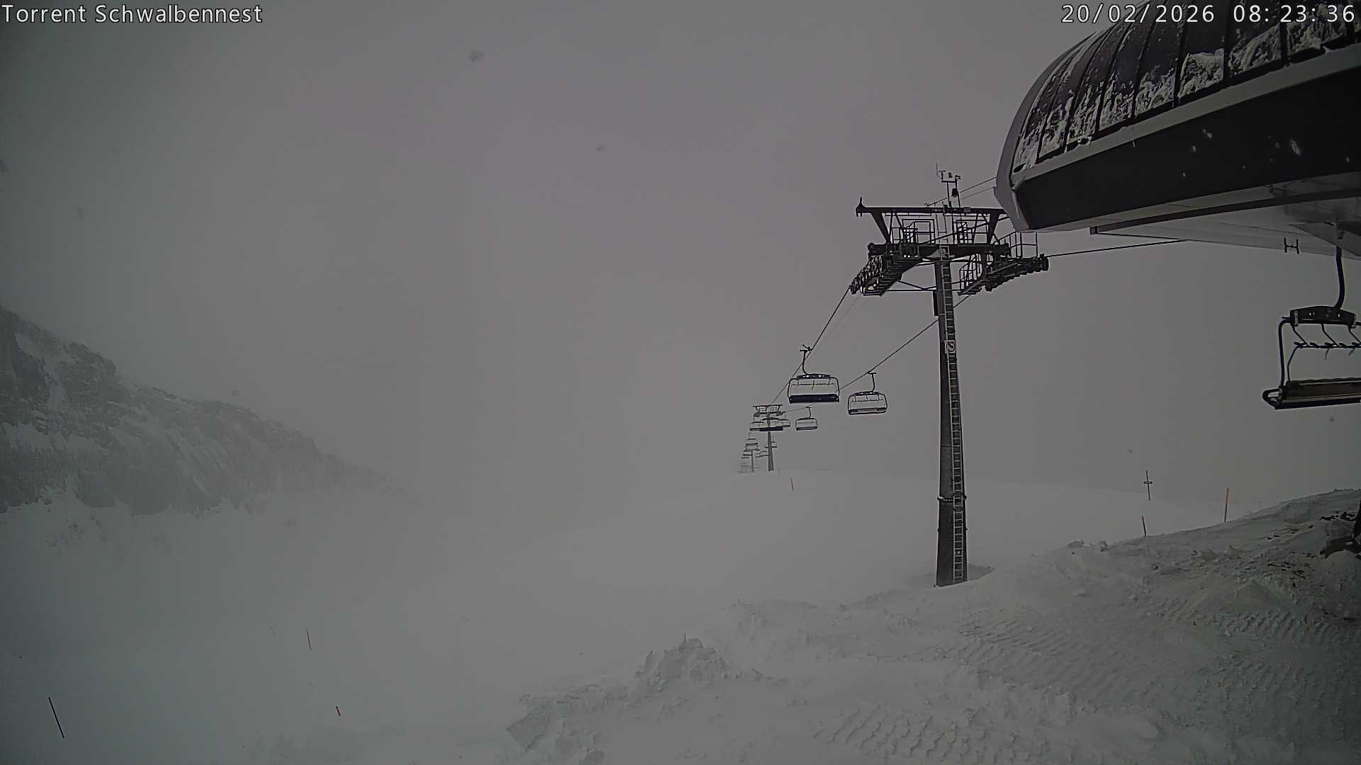 Archiv Foto Webcam Torrent-Schwalbennest