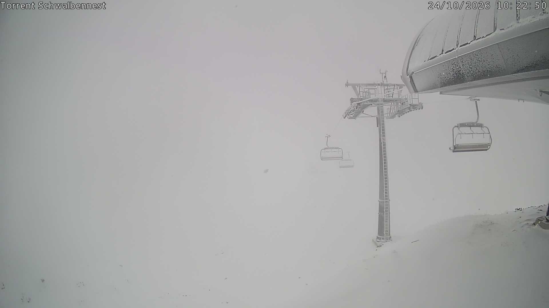 Archiv Foto Webcam Torrent-Schwalbennest
