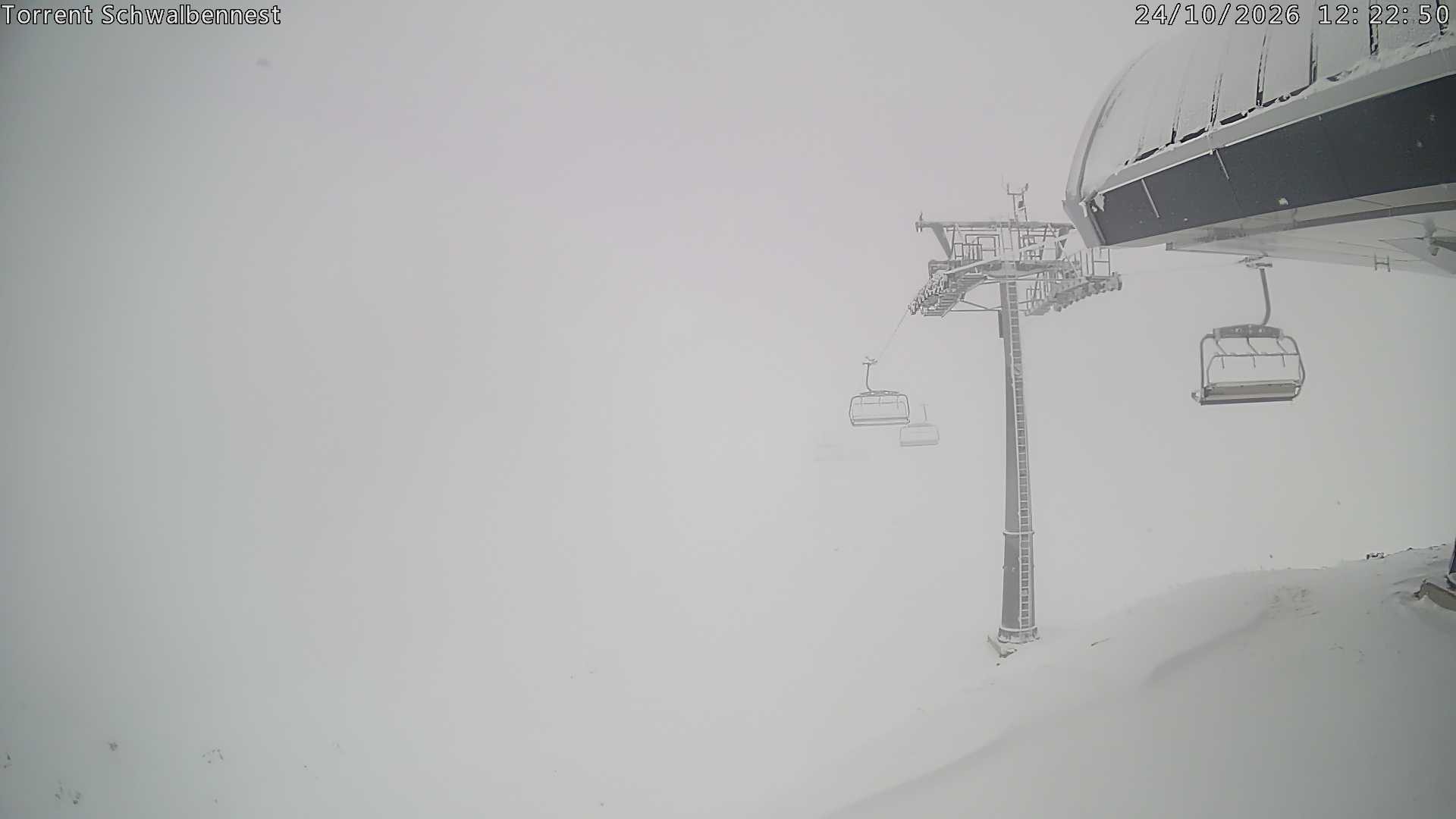 Archiv Foto Webcam Torrent-Schwalbennest