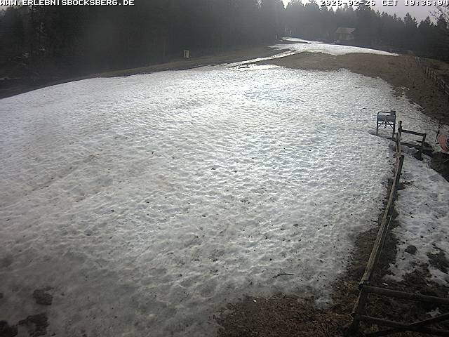 Archived image Webcam Beginner slope Hahnenklee-Bocksberg