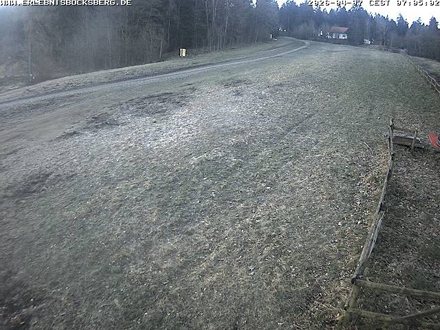 Archiv Foto Webcam Anfängerpiste Hahnenklee-Bocksberg