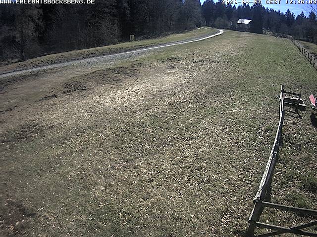 Archiv Foto Webcam Anfängerpiste Hahnenklee-Bocksberg