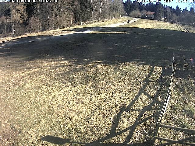 Archiv Foto Webcam Anfängerpiste Hahnenklee-Bocksberg