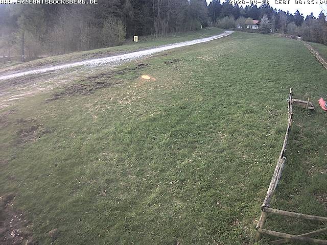 Archiv Foto Webcam Anfängerpiste Hahnenklee-Bocksberg